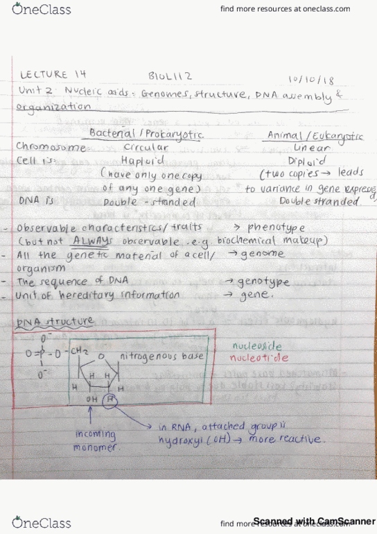 BIOL 112 Lecture 13: Unit 2 - Nucleic Acids thumbnail