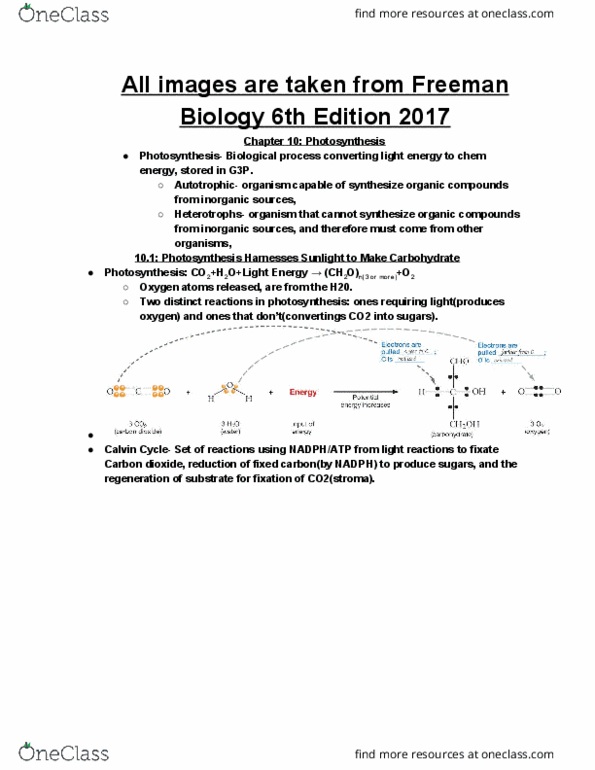 BIOLOGY 1113 Lecture Notes - Lecture 20: Nicotinamide Adenine Dinucleotide, Light-Dependent Reactions, Light-Independent Reactions cover image