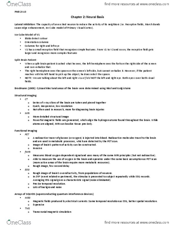 PSYCH 2H03 Lecture Notes - Radioactive Tracer, Receptive Field, Lisa Lopes thumbnail