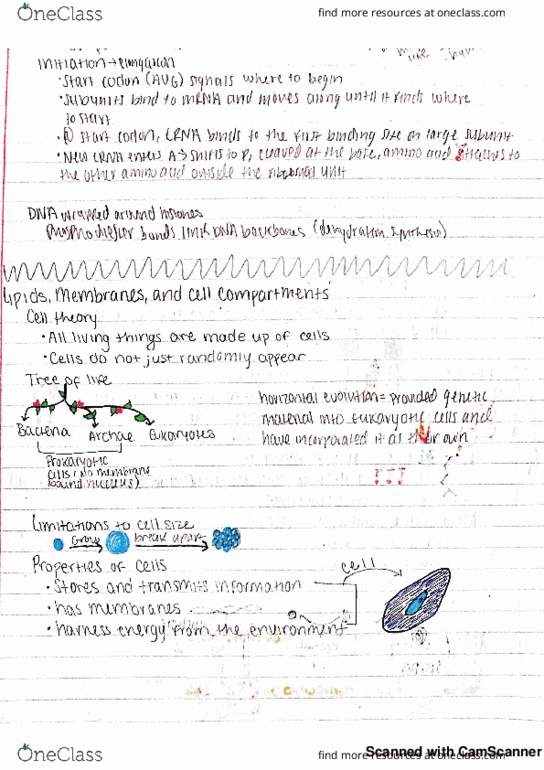 BIOL 1107 Lecture 6: Lipids, Membranes, and Cell Compartments thumbnail