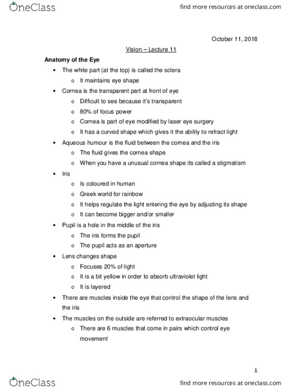 PSYO 1011 Lecture Notes - Lecture 12: Extraocular Muscles, Aqueous Humour, Sclera cover image