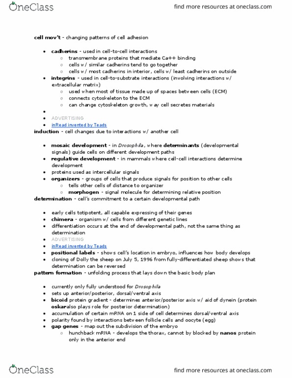 BY 108 Chapter Notes - Chapter 19: Cadherin, Cell Adhesion, Morphogen thumbnail