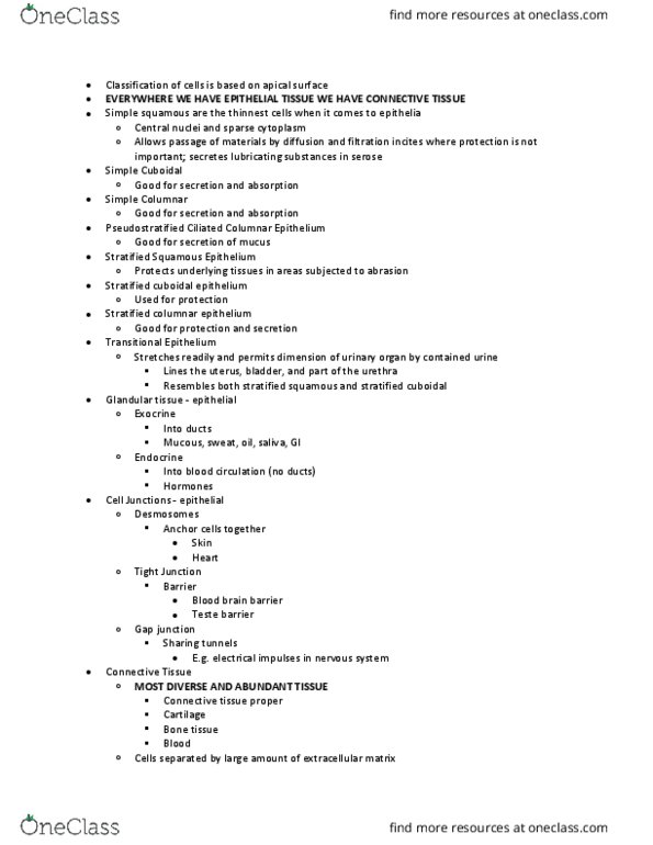 HHP 3105 Lecture Notes - Lecture 3: Hyaline Cartilage, Adipose Tissue, Nervous Tissue thumbnail