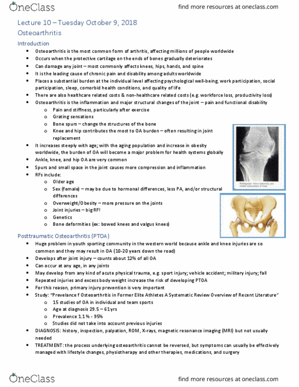 KNES 372 Lecture Notes - Lecture 10: Magnetic Resonance Imaging, Osteophyte, Osteoarthritis thumbnail