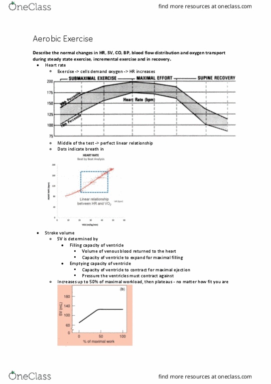 PHTY203 Lecture Notes - Lecture 13: Valsalva Maneuver, Upper Limb, Cardiorespiratory Fitness thumbnail