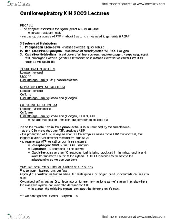 KINESIOL 2CC3 Lecture Notes - Phosphagen, Cellular Respiration, Cytosol thumbnail