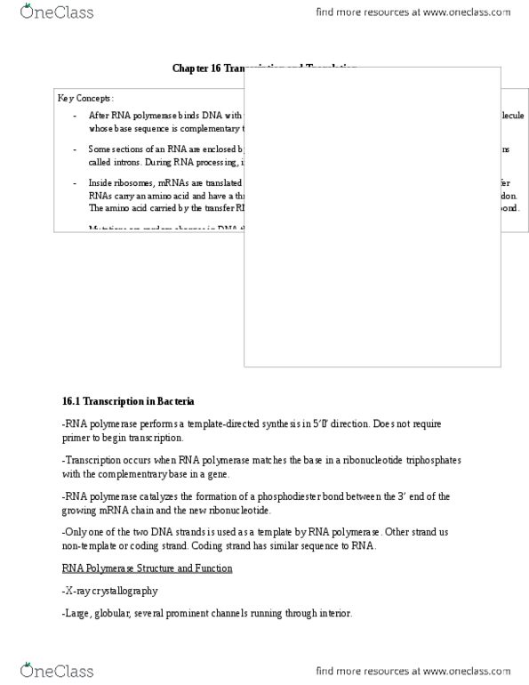 BIO152H5 Chapter Notes - Chapter 16: Rna Polymerase Iii, Aminoacyl-Trna, Coding Strand thumbnail