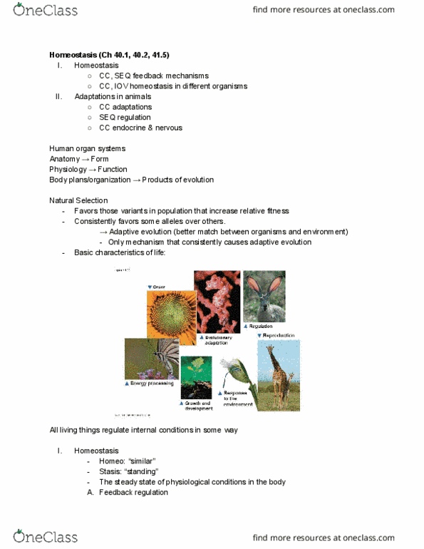 01:119:116 Lecture Notes - Lecture 11: Adaptation, Osmoregulation, Homeostasis thumbnail