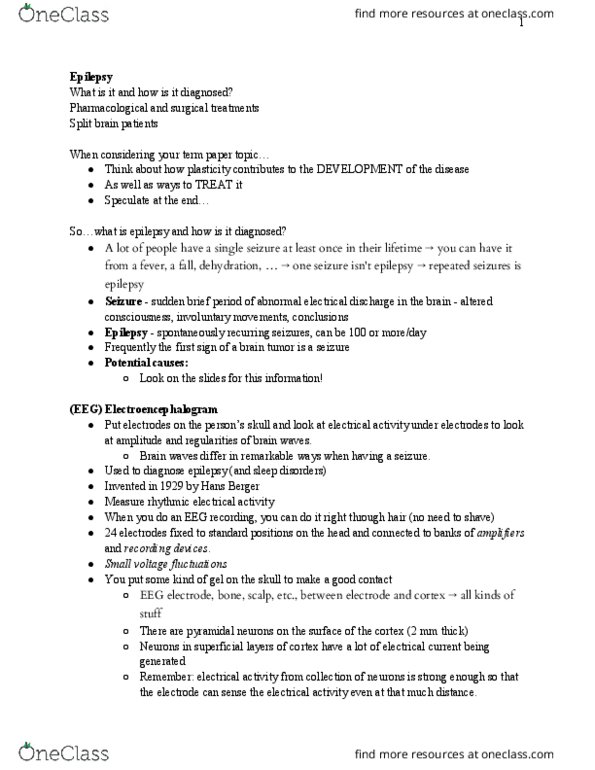 PSYC3338 Lecture Notes - Lecture 10: Pyramidal Cell, Cerebral Cortex, Electroencephalography thumbnail