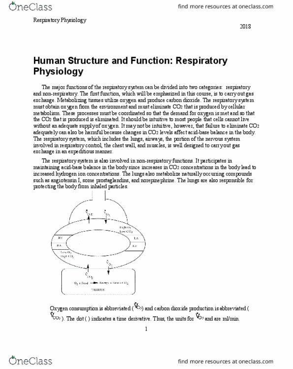 PHYS 799 Chapter Notes - Chapter 3: Pulmonary Pleurae, Bronchiole, Thoracic Cavity thumbnail