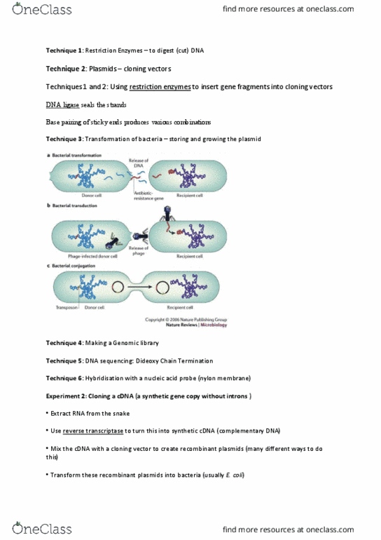 BIO1022 Lecture Notes - Lecture 2: Dna Ligase, Reverse Transcriptase, Genomic Library thumbnail