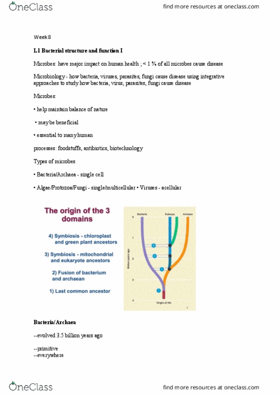 BIO1022 Lecture Notes - Lecture 8: Microbiology, Antibiotics, Bacterial Vaginosis thumbnail