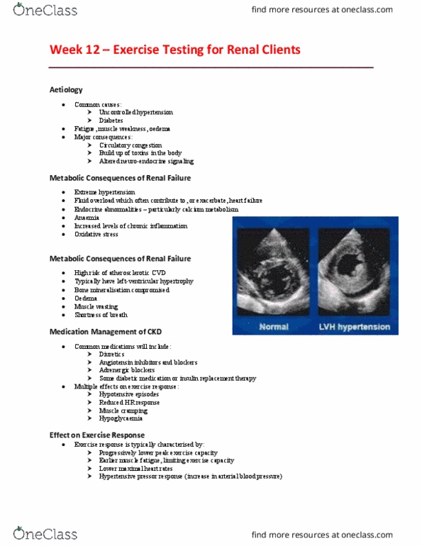 EHR522 Lecture Notes - Lecture 12: Antihypotensive Agent, Medication Therapy Management, Edema thumbnail