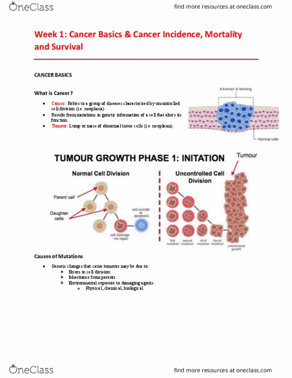 EHR523 Lecture Notes - Lecture 1: Neoplasm, Angiogenesis, Blood Vessel thumbnail