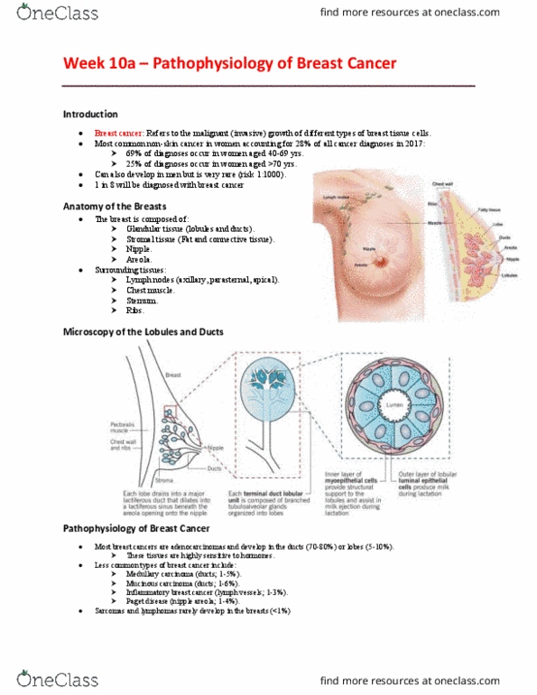 EHR523 Lecture Notes - Lecture 10: Inflammatory Breast Cancer, Axillary Lymph Nodes, Mucinous Carcinoma thumbnail
