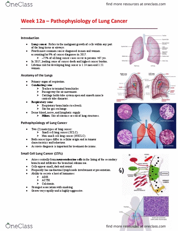 EHR523 Lecture Notes - Lecture 12: Small-Cell Carcinoma, Alveolar Cells, Squamous Cell Carcinoma thumbnail