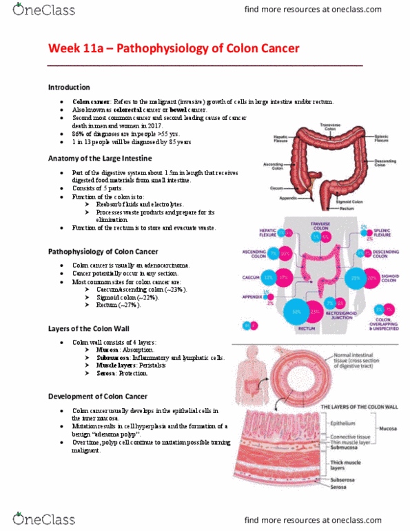 EHR523 Lecture Notes - Lecture 11: Inflammatory Bowel Disease, Colorectal Cancer, Sigmoid Colon thumbnail