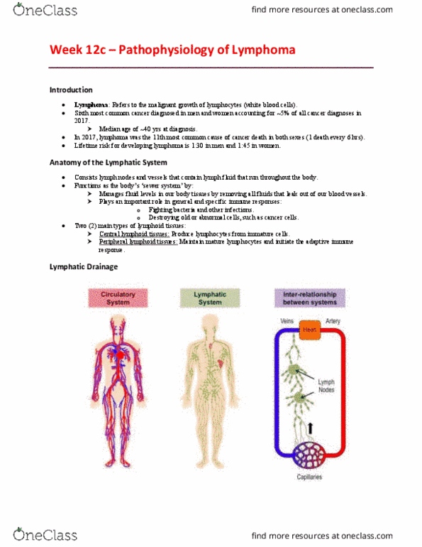EHR523 Lecture Notes - Lecture 12: Lymph Node, Adaptive Immune System, Bone Marrow thumbnail