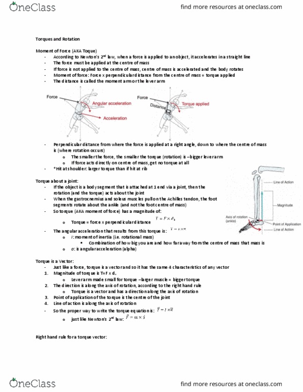 Kinesiology 2241A/B Lecture Notes - Lecture 9: Right-Hand Rule, Angular Acceleration, Gastrocnemius Muscle thumbnail