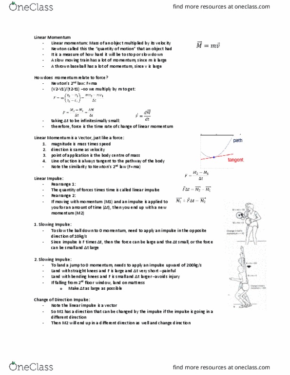 Kinesiology 2241A/B Lecture Notes - Lecture 17: Momentum, Mattress, Memory Stick thumbnail