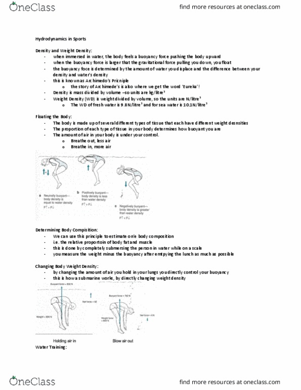 Kinesiology 2241A/B Lecture Notes - Lecture 27: Specific Weight, Parasitic Drag, Backstroke thumbnail