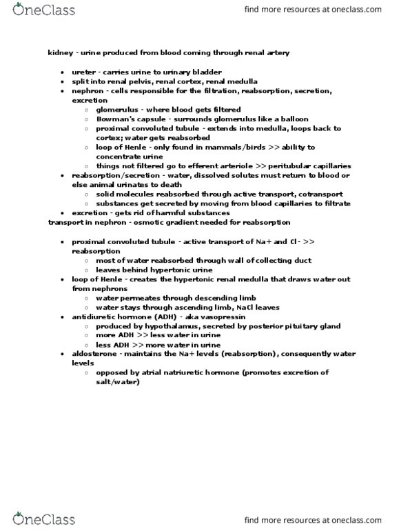 BY 108 Chapter Notes - Chapter 26: Proximal Tubule, Posterior Pituitary, Renal Pelvis thumbnail