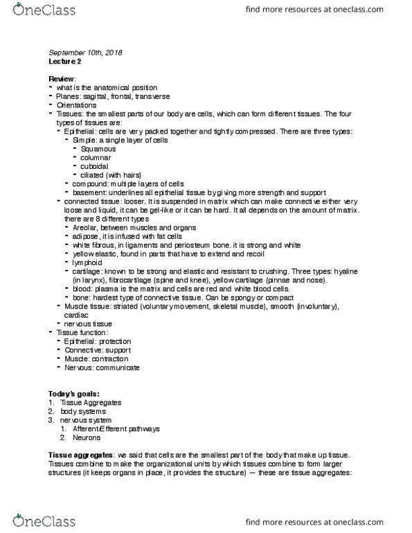 SAR SH 522 Lecture Notes - Lecture 2: Bone, Muscle Tissue, Skeletal Muscle thumbnail