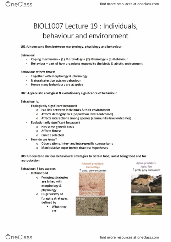 BIOL1007 Lecture Notes - Lecture 19: Natural Selection, Railways Act 1921, Optimal Foraging Theory thumbnail