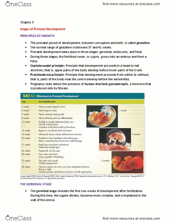 PSYB20H3 Chapter Notes - Chapter 3: Human Chorionic Gonadotropin, Umbilical Cord, Embryonic Disc thumbnail