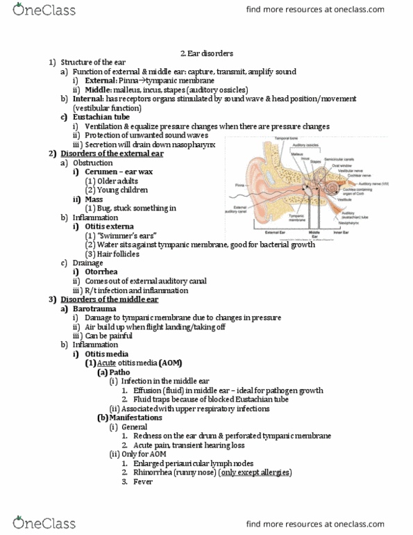 NURSE-UN 1435 Lecture Notes - Lecture 5: Headache, Otosclerosis, Mastoid Part Of The Temporal Bone thumbnail