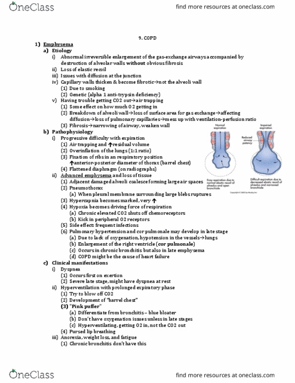 NURSE-UN 1435 Lecture Notes - Lecture 6: Hypertrophy, Smoking Cessation, Pulmonary Rehabilitation thumbnail
