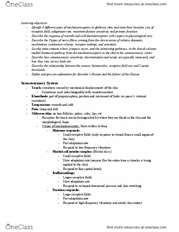 PSYC 367 Lecture Notes - Lecture 11: Medial Lemniscus, Brainstem, Ventral Posteromedial Nucleus thumbnail