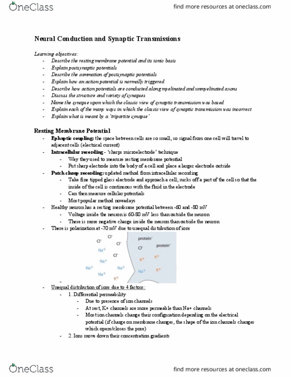 PSYC 304 Lecture Notes - Lecture 4: Inhibitory Postsynaptic Potential, Neurotransmitter, Muscarine thumbnail