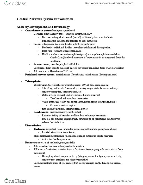 CAPS 301 Lecture Notes - Lecture 14: Reticular Formation, Pia Mater, Dura Mater thumbnail