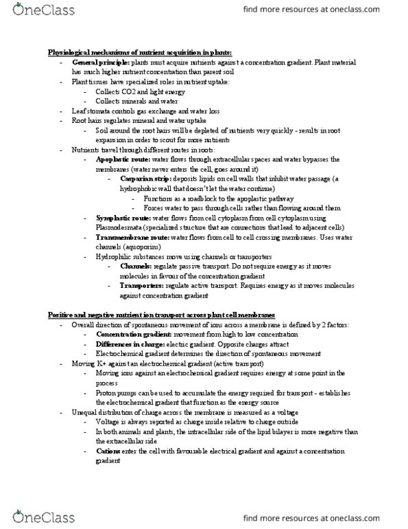 BIOL 260 Lecture Notes - Lecture 7: Nitrogenase, Energy, Enzyme thumbnail