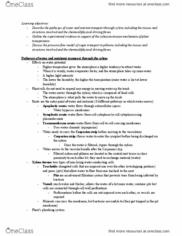 BIOL 260 Lecture Notes - Lecture 11: Phloem, Sucrose, Sieve Tube Element thumbnail