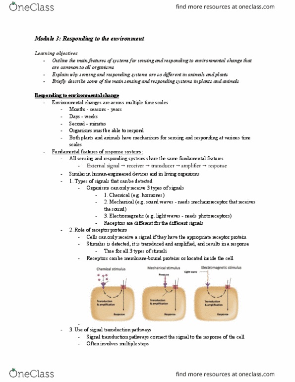 BIOL 260 Lecture Notes - Lecture 13: Endocrine System, Sensory System, Venus Flytrap thumbnail