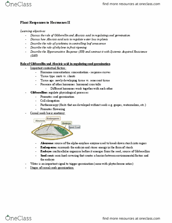 BIOL 260 Lecture Notes - Lecture 19: Seed Dormancy, Chlorophyll, Water Potential thumbnail