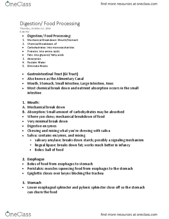 BIOL 208 Lecture Notes - Lecture 10: Microvillus, Pancreatic Duct, Gastrin thumbnail