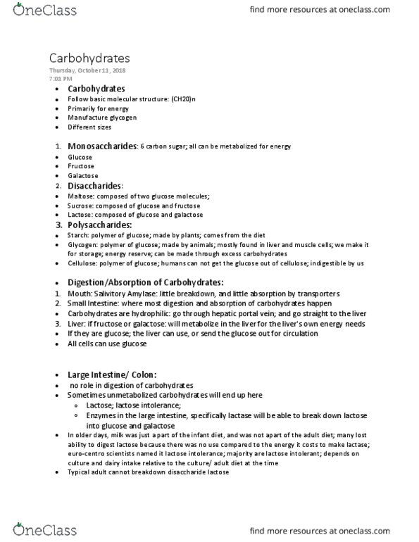 BIOL 208 Lecture Notes - Lecture 11: High Fructose Corn Syrup, Ketogenesis, Glycogenesis thumbnail