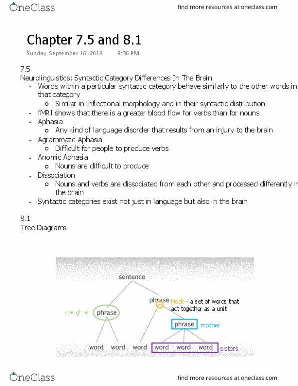 LINGUIST 1AA3 Chapter Notes - Chapter 7.5-8.1: Syntactic Category, Inflection, Neurolinguistics thumbnail