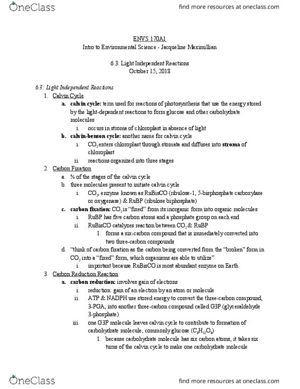 ENVS 170A1 Chapter Notes - Chapter 6: Light-Independent Reactions, Carbon Fixation, Rubisco thumbnail