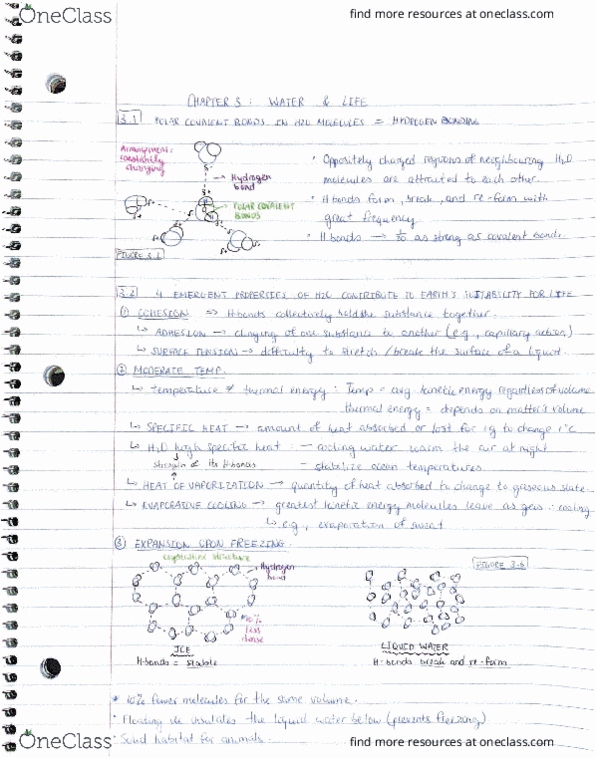 BIO152H5 Chapter Notes - Chapter 3: Triple J thumbnail