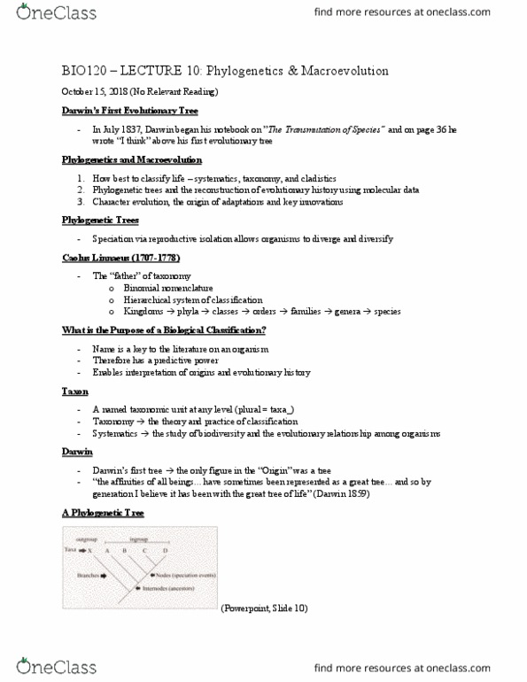 BIO120H1 Lecture Notes - Lecture 11: Cichlid, Dna Sequencing, Paraphyly cover image