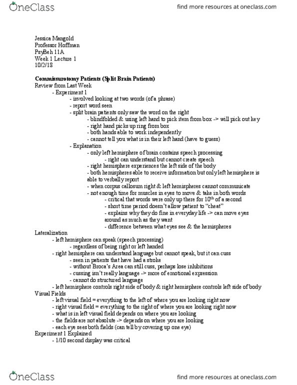 PSY BEH 11A Lecture Notes - Lecture 2: Limbic System, Contact Lens, Saccade thumbnail