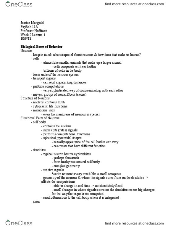 PSY BEH 11A Lecture Notes - Lecture 4: Resting Potential, Myelin, Oligodendrocyte thumbnail