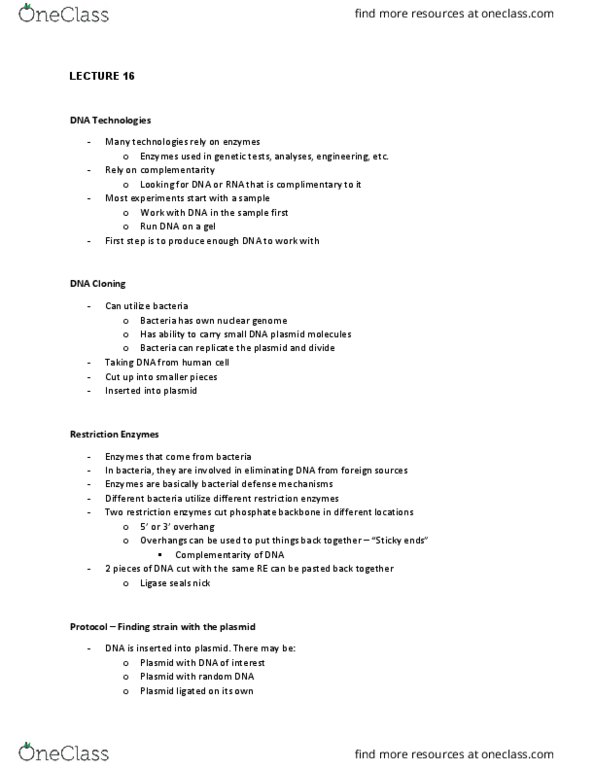 Biology 1202B Lecture Notes - Lecture 16: Lysis, Electrophoresis, Reverse Transcriptase thumbnail