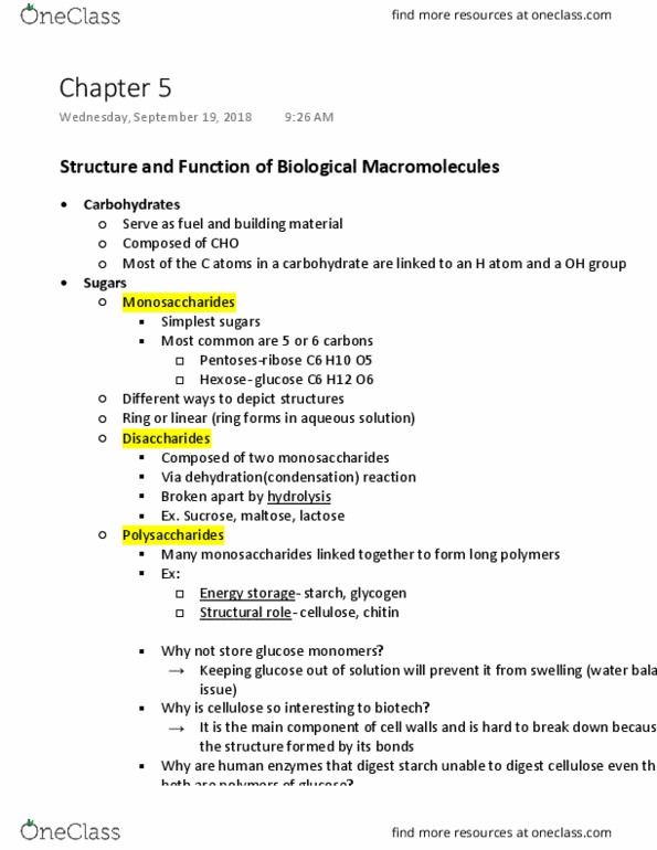 BIOL 102 Lecture Notes - Lecture 5: Cholesterol, Globular Protein, Deoxy Sugar thumbnail