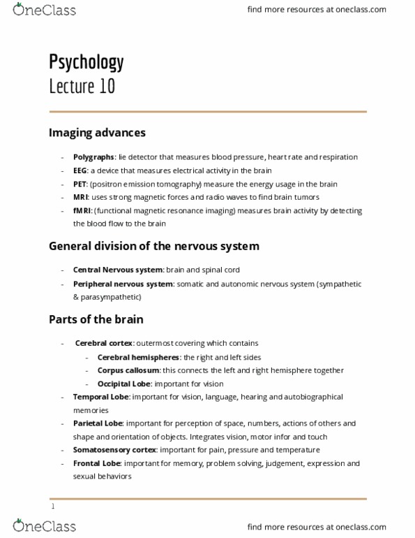 01:830:101 Lecture Notes - Lecture 10: Basal Ganglia, Hypothalamus, Prefrontal Cortex cover image