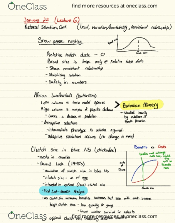 BIOSC 0370 Lecture 6: Lecture Notes 6 thumbnail